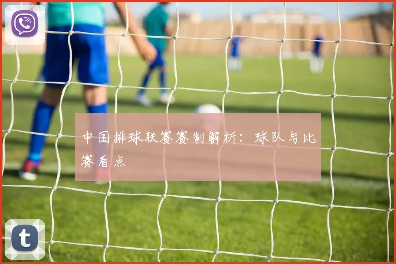 中国排球联赛赛制解析：球队与比赛看点