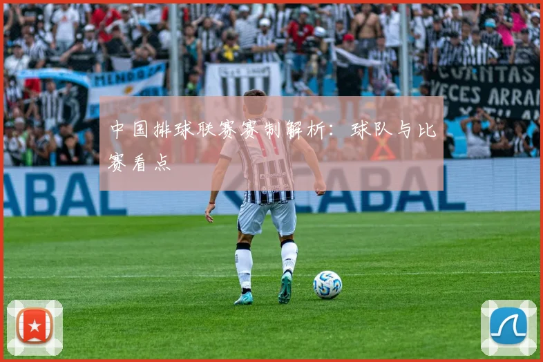 中国排球联赛赛制解析:球队与比赛看点