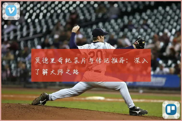 莫德里奇纪录片与传记推荐:深入了解大师之路